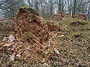 Исаково, урочище. Николая Чудотворца, церковь