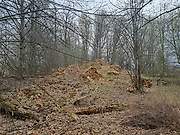 Исаково, урочище. Николая Чудотворца, церковь