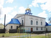 Церковь Рождества Пресвятой Богородицы, , Середина-Буда, Шосткинский район, Украина, Сумская область