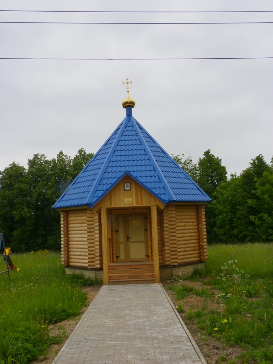 Волхов, город. Часовня Илии Пророка и Владимира равноапостольного. фасады