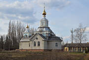 Церковь Казанской иконы Божией Матери (строящаяся), , 1-го отделения совхоза "Новоусманский", посёлок, Новоусманский район, Воронежская область