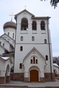 Троицк. Троицы Живоначальной (каменная) в Троицке, церковь