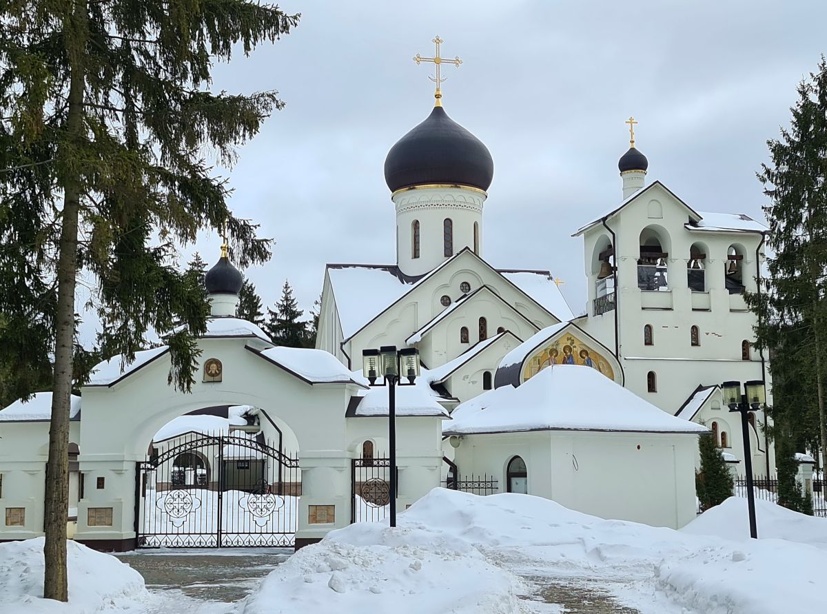 Церковь Троицы Живоначальной (каменная) в Троицке, Троицк (Троицкий административный округ (ТАО), г. Москва). дополнительная информация, Ворота северной части ограды Троицкой церкви 