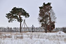 Плоская Дубрава. Церковь Казанской иконы Божией Матери