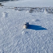 Церковь Николая Чудотворца, Вид на озеро<br>, Семискуль, урочище, Мокроусовский район, Курганская область