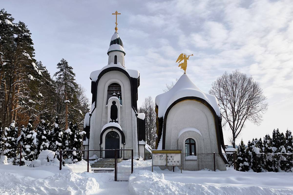 общий вид в ландшафте. Церковь Александра Невского, Мальцы (Чеховский городской округ, Московская область)