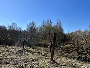 Бор. Илии Пророка, церковь