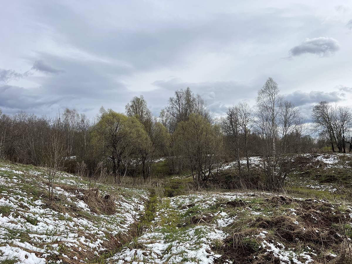 Вид на церковь как на историческом фото, общий вид в ландшафте. Церковь Илии Пророка, Бор (Старорусский район, Новгородская область)