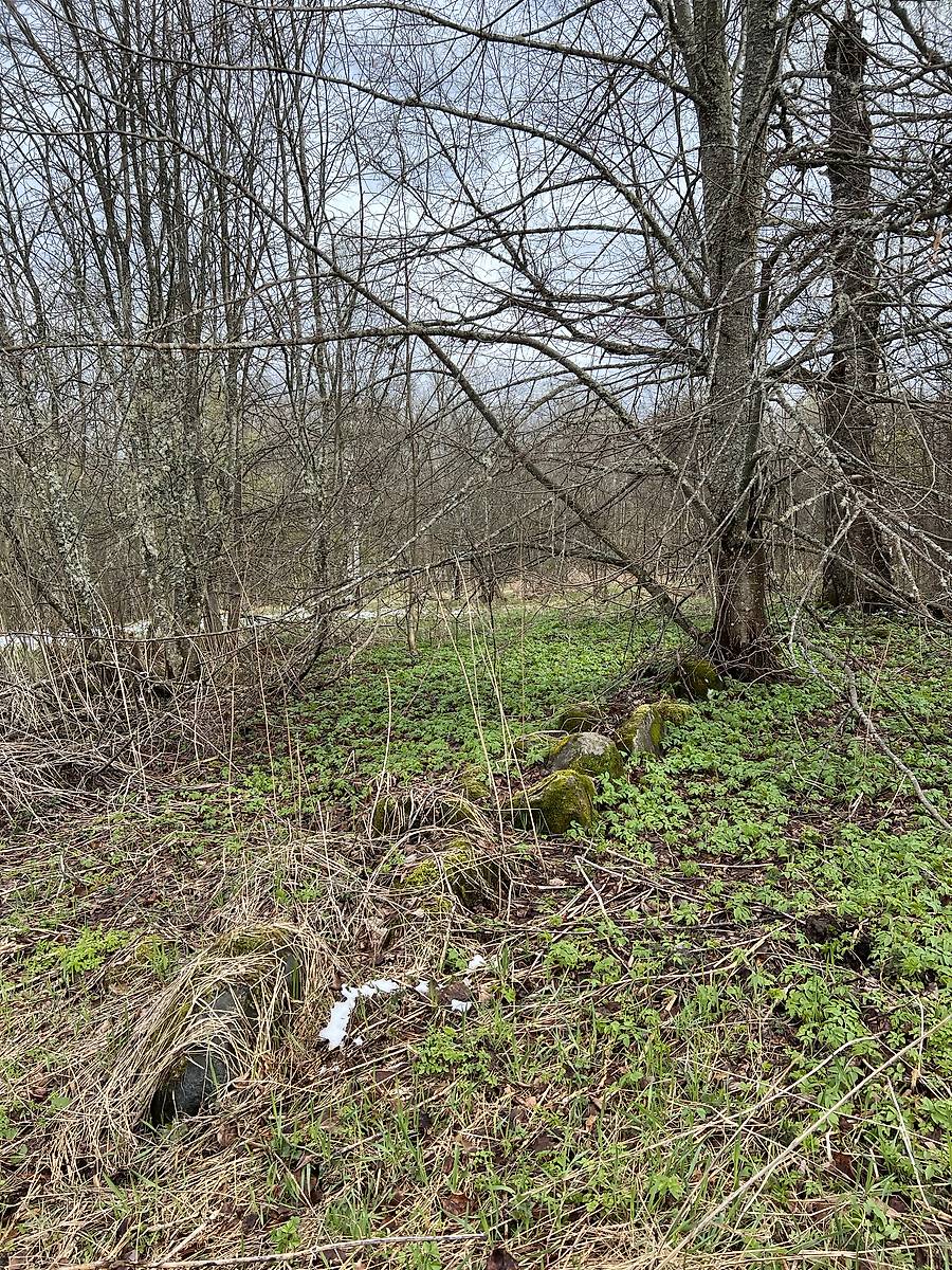 Фундаментные камни, дополнительная информация. Церковь Илии Пророка, Бор (Старорусский район, Новгородская область)