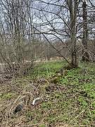 Бор. Илии Пророка, церковь