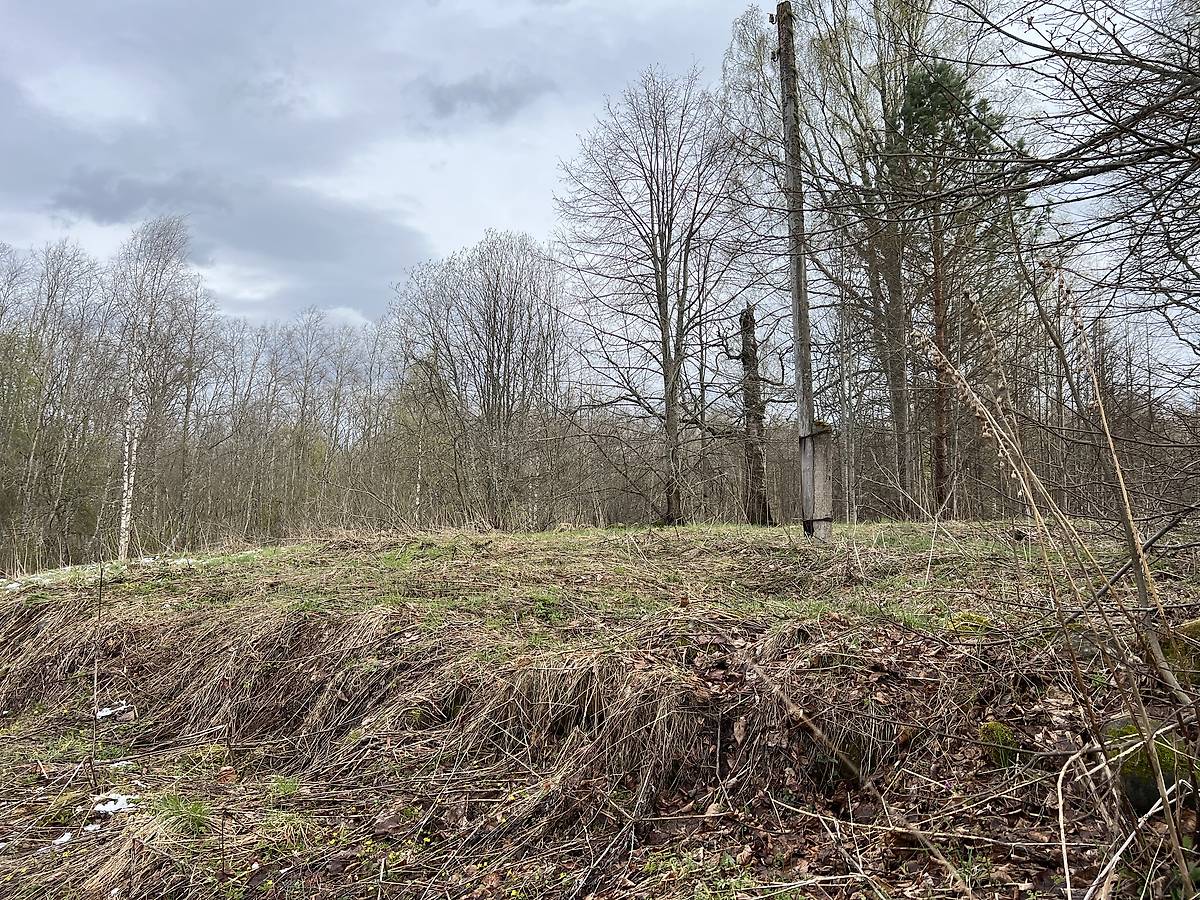 Периметр ограды церкви, дополнительная информация. Церковь Илии Пророка, Бор (Старорусский район, Новгородская область)