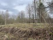 Бор. Илии Пророка, церковь