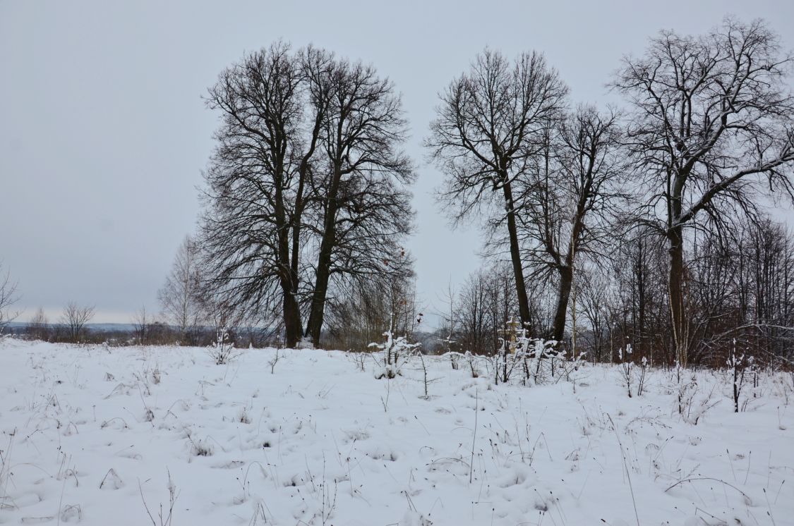 Церковь Бориса и Глеба, Новый Ропск (Климовский район, Брянская область). дополнительная информация, Храмовое место