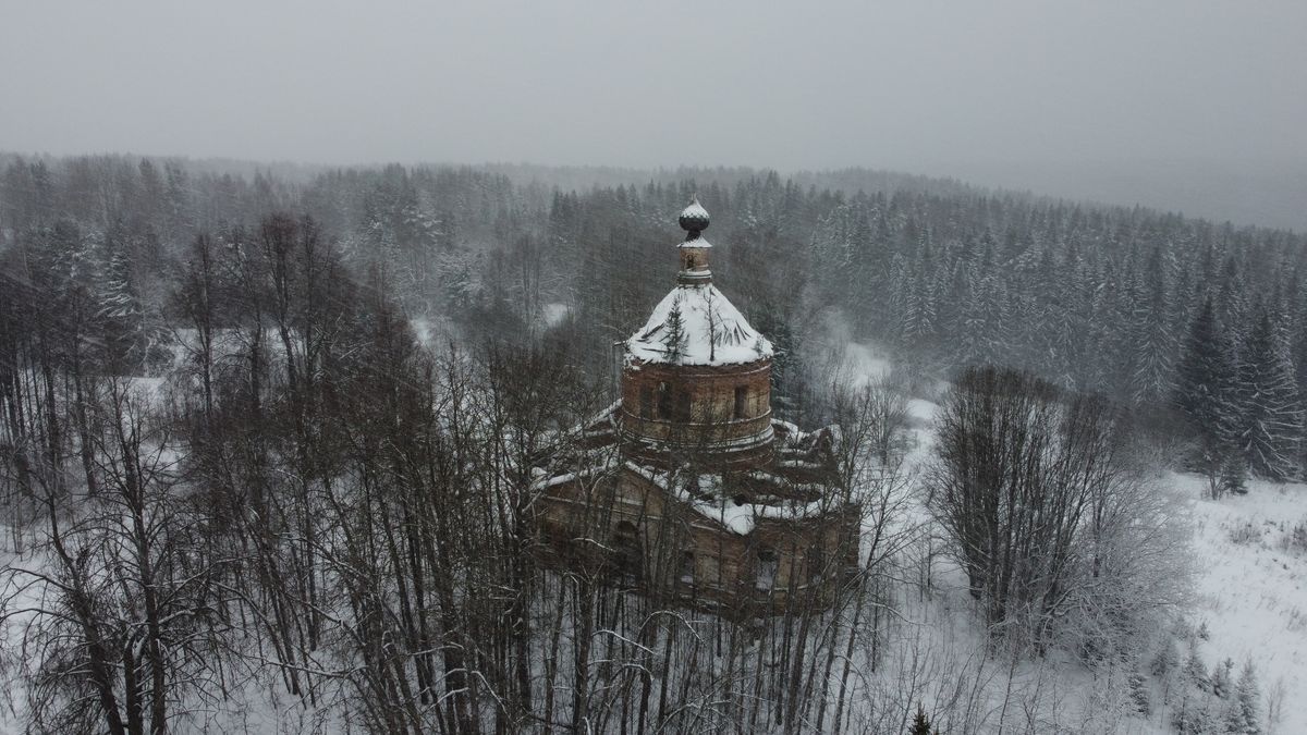 общий вид в ландшафте. Церковь Рождества Христова, Свиньино (Галичский район, Костромская область)