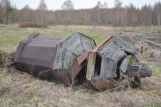 Церковь Тихвинской иконы Божией Матери, Главка церкви либо колокольни, лежащая неподалёку от храма.<br>, Мартыново, урочище, Первомайский район, Ярославская область
