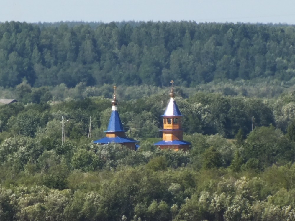 Церковь Николая Чудотворца, Кузьмино (Княжестров) (Приморский район, Архангельская область). архитектурные детали, вид от села Лявля