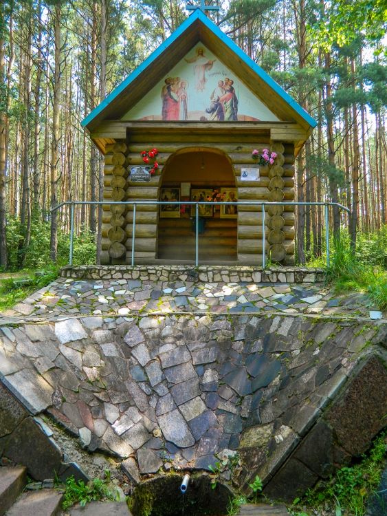 Часовня Троицы Живоначальной, Ботагово (Орехово-Зуевский городской округ, Московская область). фасады