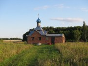 Часовня Новомучеников и исповедников Церкви Русской, , Воронино, Зарайский городской округ, Московская область