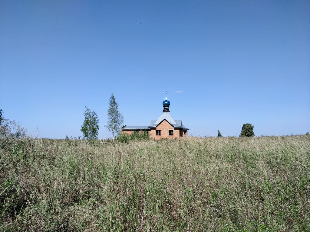 Часовня Новомучеников и исповедников Церкви Русской, Воронино (Зарайский городской округ, Московская область). общий вид в ландшафте