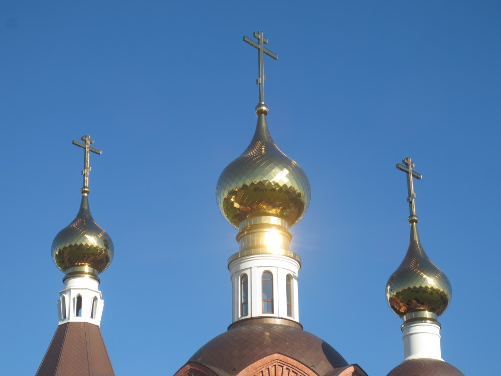 Церковь Преображения Господня в Лигове, Красносельский район (Санкт-Петербург, г. Санкт-Петербург). архитектурные детали