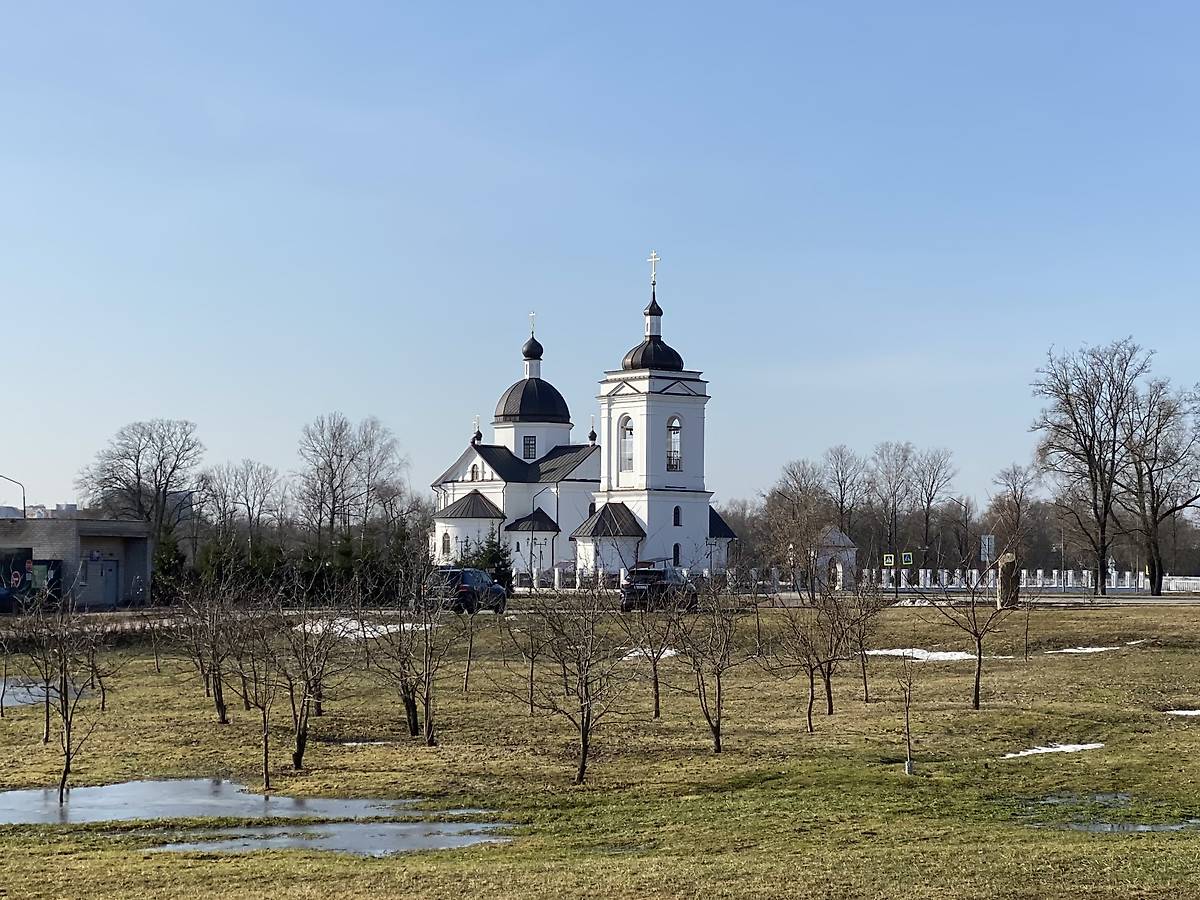 Вид с северо-востока, общий вид в ландшафте. Церковь Покрова Пресвятой Богородицы (новая), Могилёв (Могилёв, город, Беларусь, Могилёвская область)
