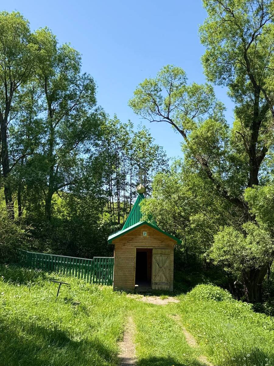 Часовня Иоанна Предтечи, Турминское (Кайбицкий район, Республика Татарстан). общий вид в ландшафте