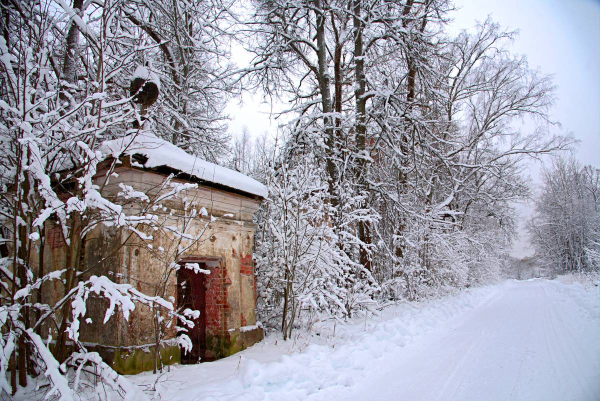 общий вид в ландшафте. Неизвестная часовня, Курышино (Угличский район, Ярославская область)