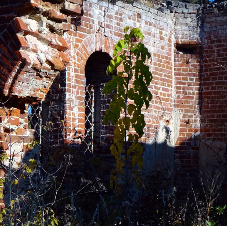 Часовня Царственных страстотерпцев, Емельянка (Костромской район, Костромская область). интерьер и убранство