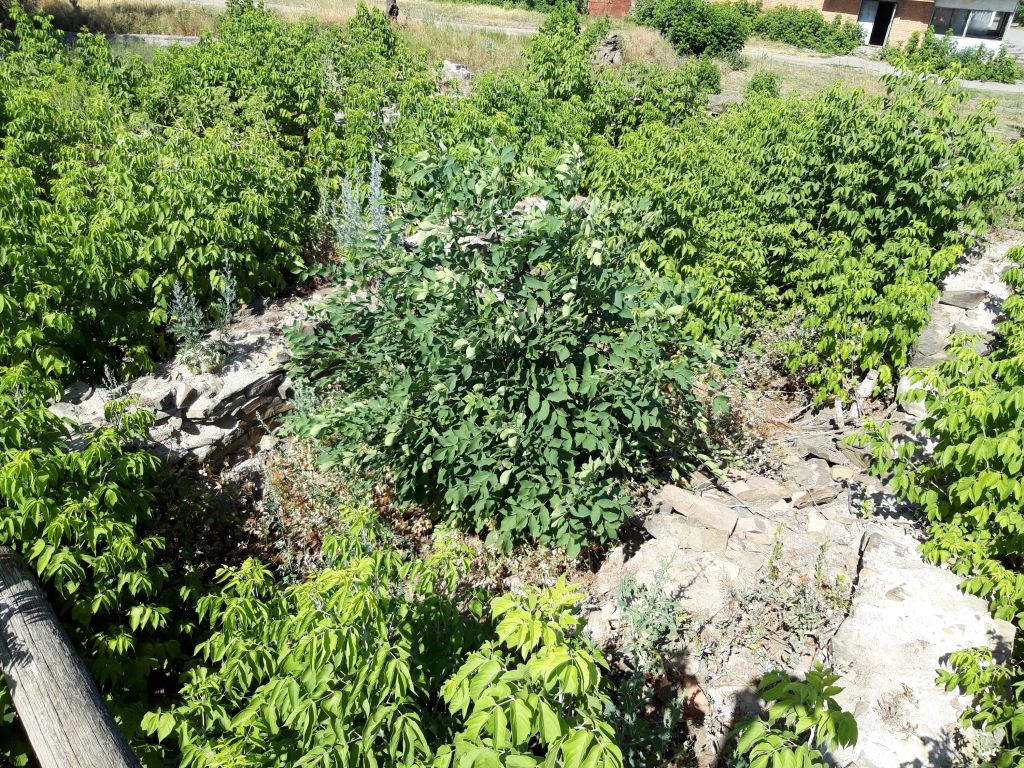 Церковь Рождества Пресвятой Богородицы, Евсеевский (Усть-Донецкий район, Ростовская область). фасады