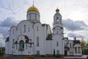 Церковь Александра Невского (новая), , Рогачёв, Рогачёвский район, Беларусь, Гомельская область