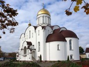 Церковь Александра Невского (новая), , Рогачёв, Рогачёвский район, Беларусь, Гомельская область