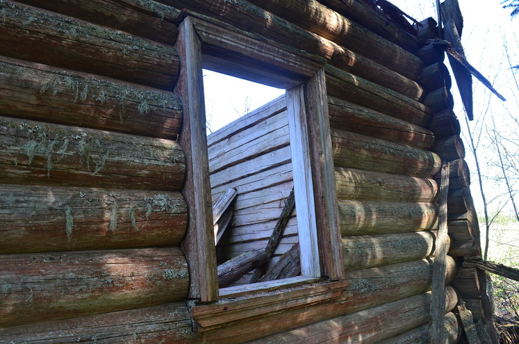 Часовня Успения Пресвятой Богородицы, Лема (Вытегорский район, Вологодская область). архитектурные детали