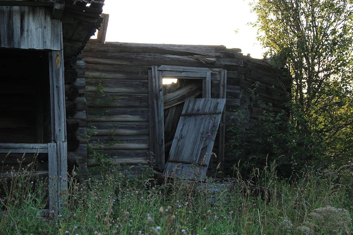 Бывшая алтарная часть, фасады. Церковь Илии Пророка, Мосеево (Вашкинский район, Вологодская область)
