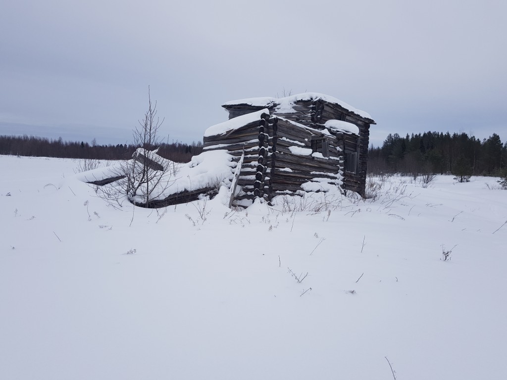 Часовня Иоанна Предтечи, Карбатово (Онежский район, Архангельская область). фасады, Вид с ЮЗ