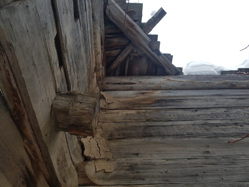 Часовня Иоанна Предтечи, Карбатово (Онежский район, Архангельская область). дополнительная информация, остатки полиц