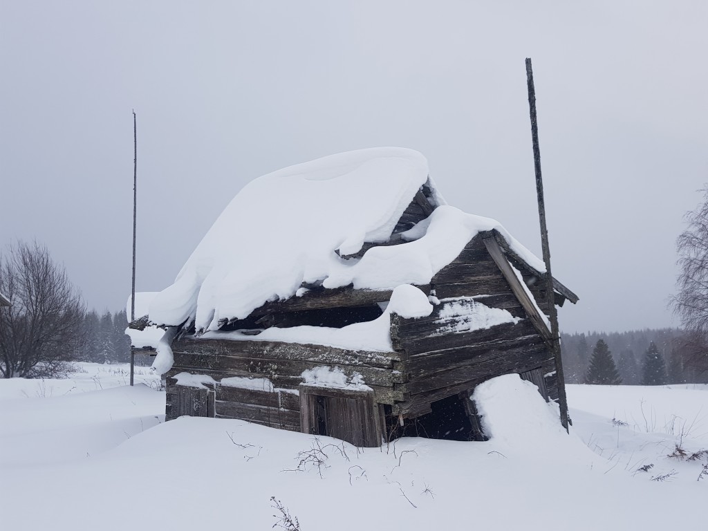 Часовня Николая Чудотворца, Вижево (Пинежский район, Архангельская область). фасады, Вид с СЗ