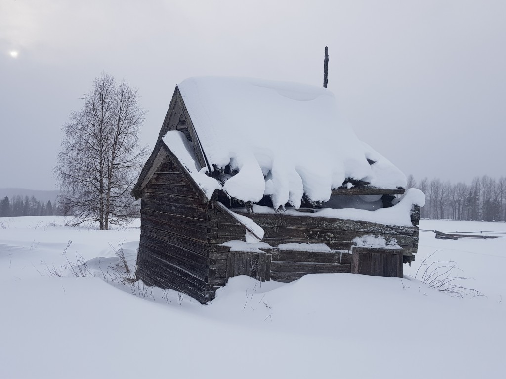 Вижево. Часовня Николая Чудотворца. фасады, Вид с СВ