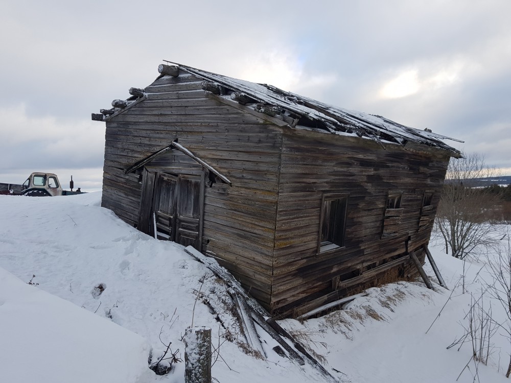 Часовня Георгия Победоносца, Труфанова (Пинежский район, Архангельская область). фасады