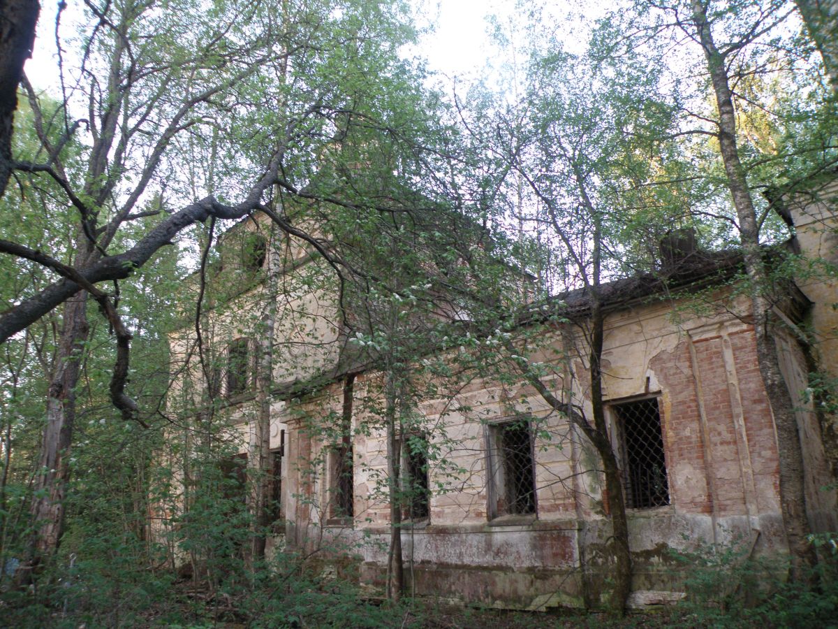 Церковь Рождества Пресвятой Богородицы, Михайловское (Чухломского с/п), урочище (Чухломский район, Костромская область). архитектурные детали