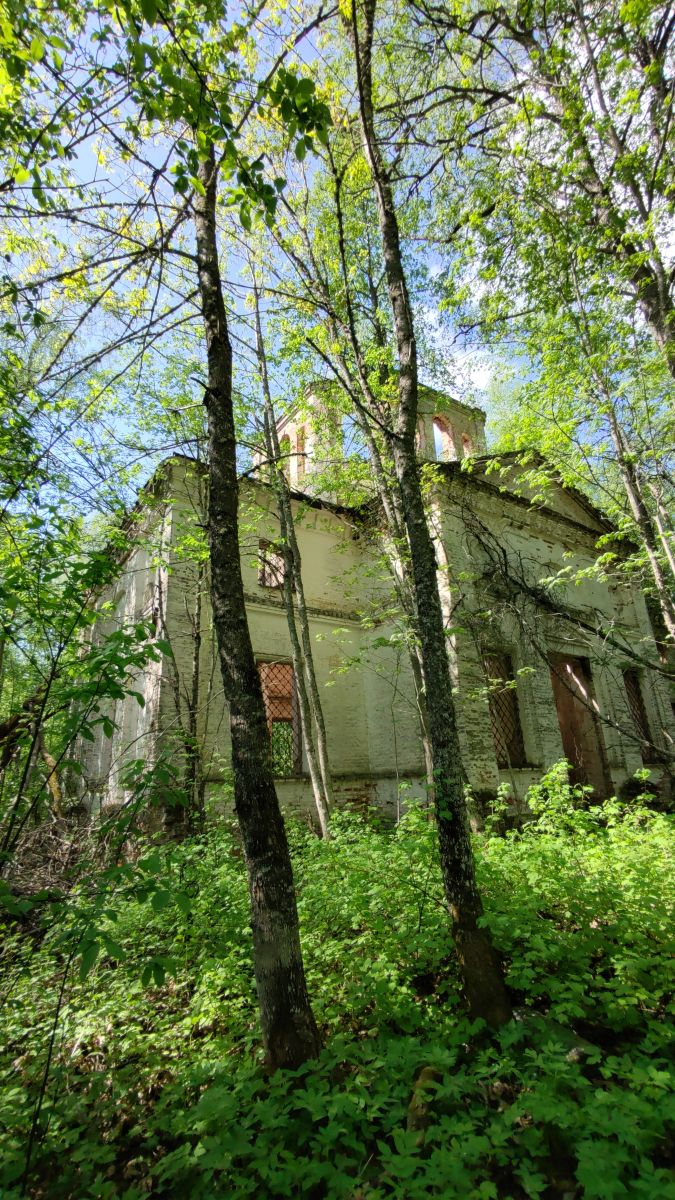 Церковь Троицы Живоначальной, Мироханово, урочище (Чухломский район, Костромская область). архитектурные детали