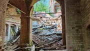 Церковь Введения во храм Пресвятой Богородицы, , Мироханово, урочище, Чухломский район, Костромская область
