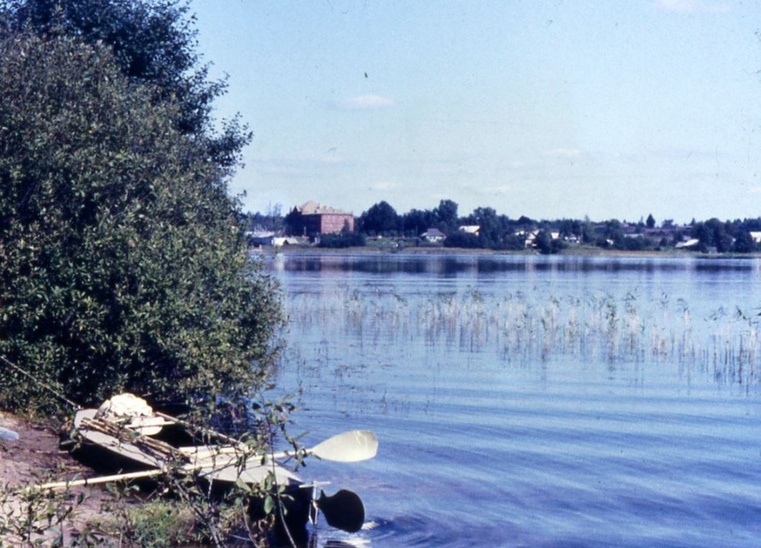 Успенский женский монастырь, Лаврово (Демянский район, Новгородская область). общий вид в ландшафте