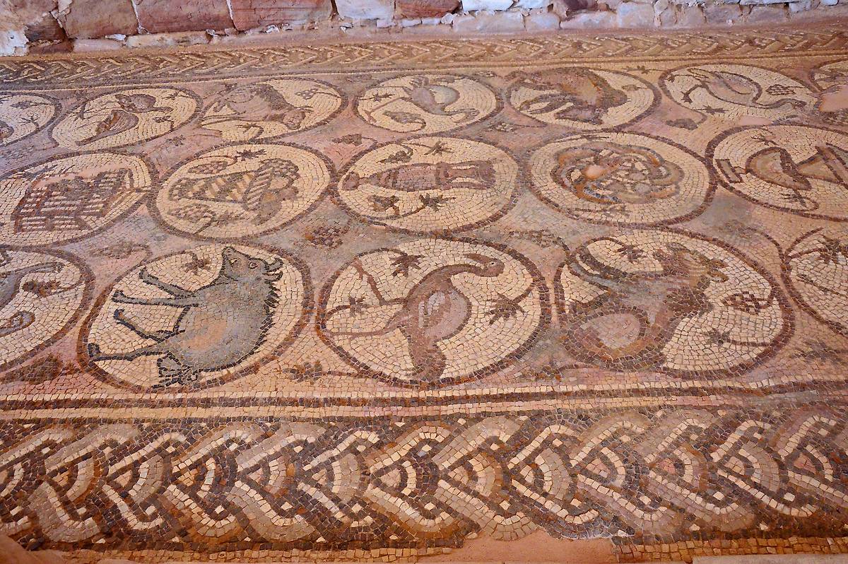Напольная мозайка V века., интерьер и убранство. Неизвестная церковь, Петра (Иордания, Прочие страны)
