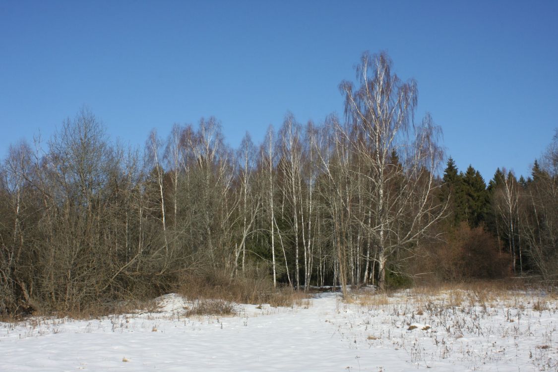 Сергиево-Дубровский монастырь, Дуброво (Наро-Фоминский городской округ, Московская область). дополнительная информация, Вид на церковное место с юга.