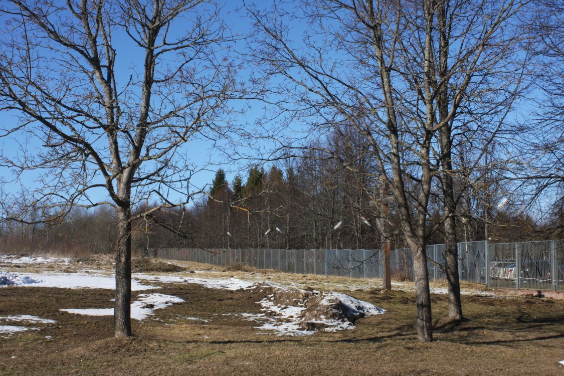 Церковь. Бориса и Глеба, Дьяково (Рузский городской округ, Московская область). дополнительная информация, Вид на церковное место с юга.