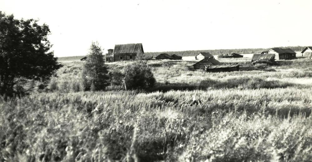 Церковь Петра и Павла, Луза (Онежский район, Архангельская область). архивная фотография, Церковь в застройке деревни Луза. Вид с юга. Фото 1970 г. Онежский историко-мемориальный музей, onegaonline.ru 