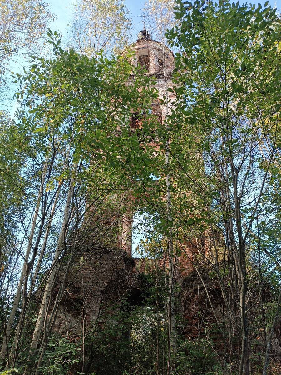 Церковь Покрова Пресвятой Богородицы, Рябцово, урочище (Буйский район, Костромская область). фасады
