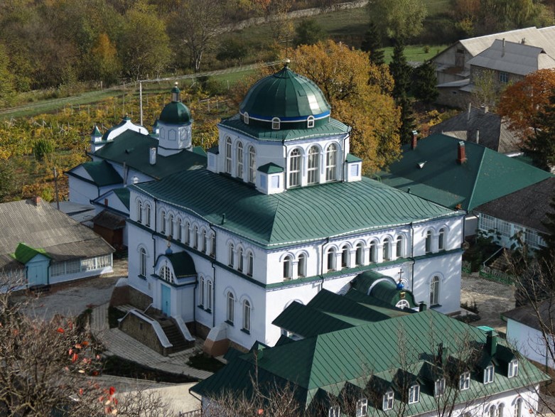 Жабка. Вознесенский Жабский монастырь. Собор Вознесения Господня. общий вид в ландшафте