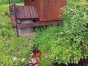 Часовня Георгия Победоносца - Островно - Удомельский район - Тверская область