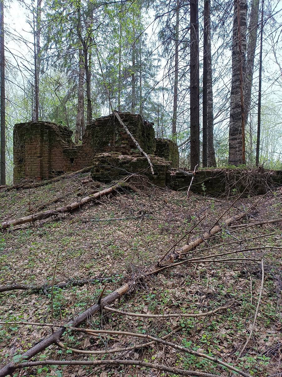 общий вид в ландшафте. Церковь Воскресения Христова, Жуково, урочище (Антроповский район, Костромская область)